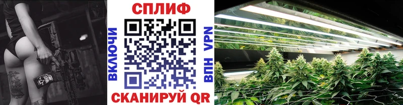 Бошки Шишки планчик Ростов