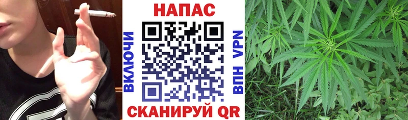 Шишки марихуана марихуана  где купить   Ростов 
